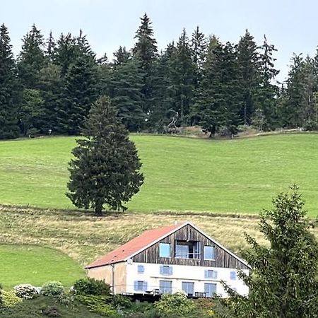 Maison D'Hotes Des Hauts De La Piquante Pierre Basse-sur-le-Rupt Eksteriør billede